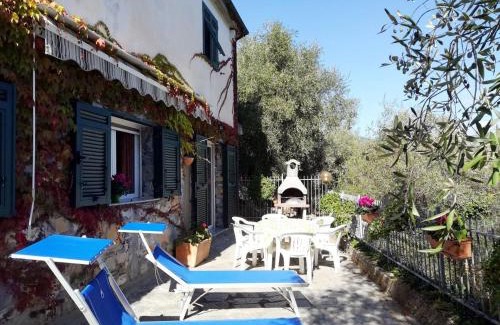 Bellissimi Apartment | Apartment Giulia - DOL236 by Interhome