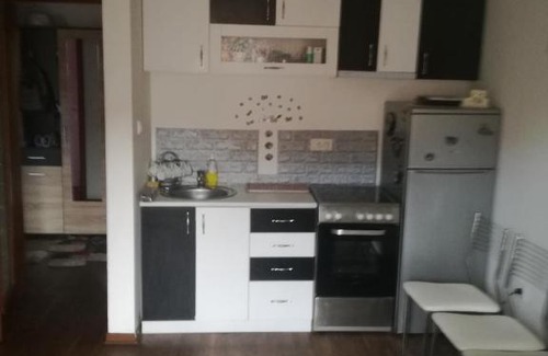 Vrnjacka Banja Apartment | apartment Milijana