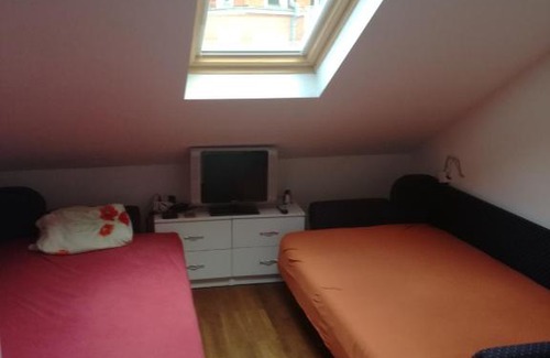 Vrnjacka Banja Apartment | apartment Milijana