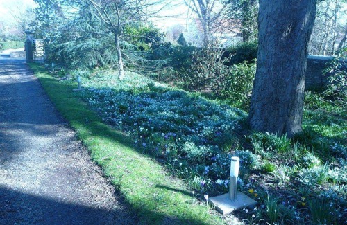 Colinton Bed & Breakfast | Bed and breakfast ∙ 3 guests