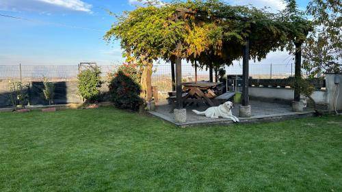 Cerrione Bed & Breakfast | Bed and breakfast ∙ 4 guests