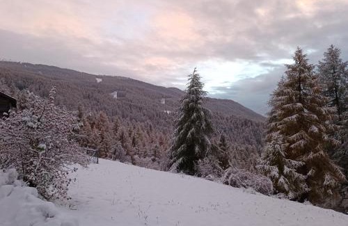 Sauze d'Oulx Apartment | Casa Richardette Relax in the Woods
