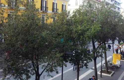 Pescara Bed & Breakfast | Domus Corso Umberto 18 B&B