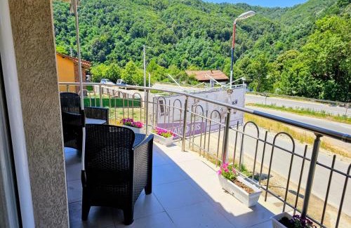 Predejane House | Guest House Konak Iris