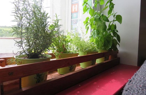 Bushmills Hostel | Hostel ∙ 8 guests