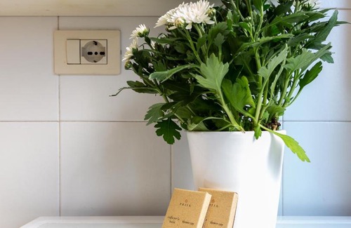 Gianicolo Apartment | HomyHost I Bright Loft Near the City Center!