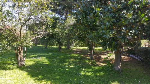 Sorrento City Centre Bed & Breakfast | Lemon Rooms Sorrento