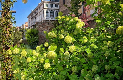 Cannaregio House | Madama garden retreat