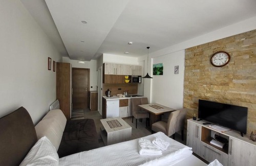 Serbia Apartment | Milmari Vesela Apartment P71