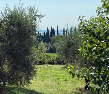 Padenghe sul Garda House | Padenghe Olive House - Ground-Floor Lake View Amid Olives