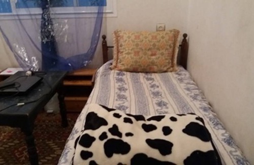 Azrou Resort | Private room ∙ 1 guest