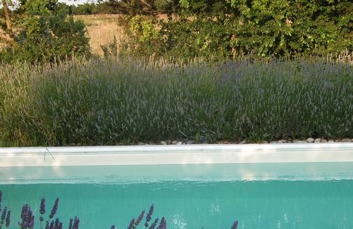 Cellarengo Resort | Private room ∙ 2 guests