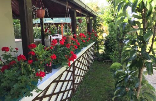 Kovilj House | Santa Maria Apartment