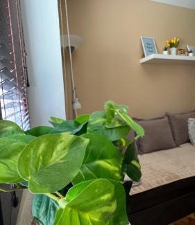 Zlatibor Apartment | Sunčana Dolina Zlatibor