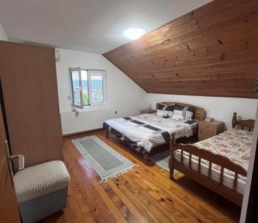 Soko Banja Apartment | Vila Lenka Sokobanja