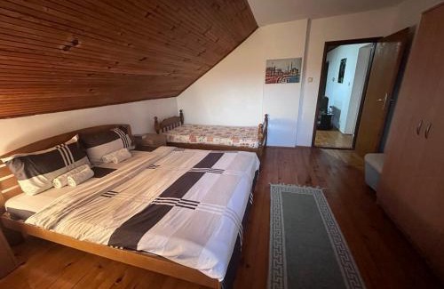 Soko Banja Apartment | Vila Lenka Sokobanja