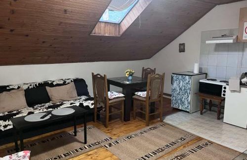 Soko Banja Apartment | Vila Lenka Sokobanja