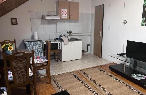 Soko Banja Apartment | Vila Lenka Sokobanja