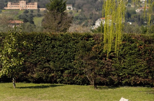 Rimini House | 10 minutes from the beach, strategically located "Villa il Castellaccio"