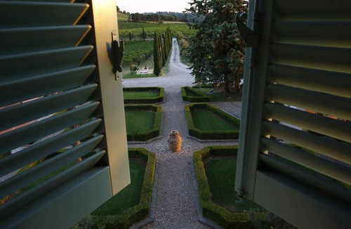 Crespina Apartment | 110 m² Apartment ∙ 2 bedrooms ∙ 4 guests
