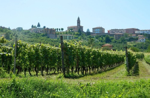 Diano d'Alba House | 110 m² House ∙ 2 bedrooms ∙ 5 guests