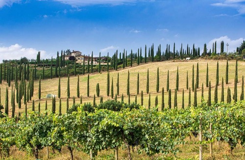 San Gimignano Villa | 114 m² Villa ∙ 2 bedrooms ∙ 4 guests