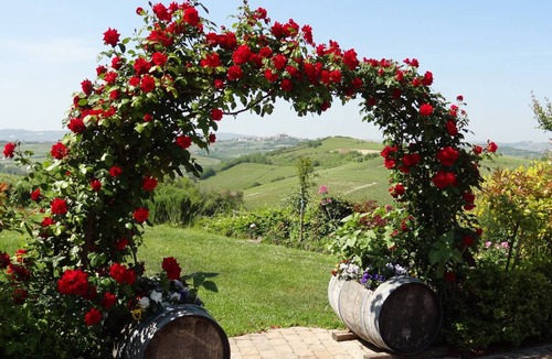 Nizza Monferrato Apartment | 120 m² Apartment ∙ 3 bedrooms ∙ 6 guests