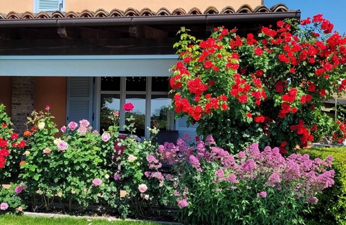 Nizza Monferrato Apartment | 120 m² Apartment ∙ 3 bedrooms ∙ 6 guests