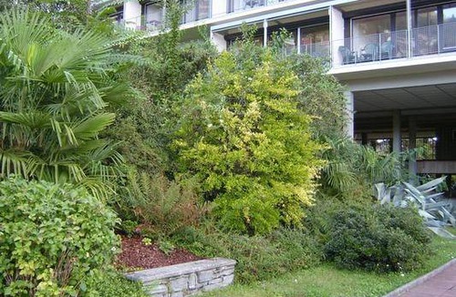 Muralto Apartment | 120 m² Apartment ∙ 2 bedrooms ∙ 4 guests