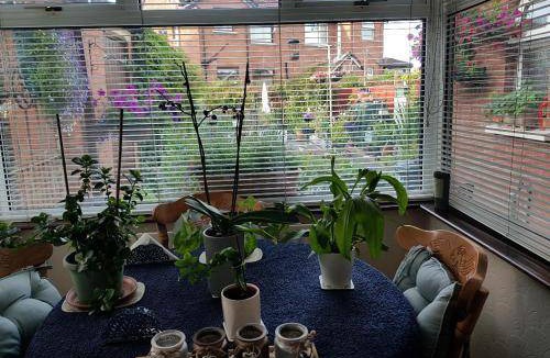 Belfast Bed & Breakfast | 13 m² Bed and breakfast ∙ 5 guests