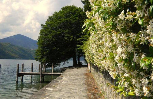 Borgomanero Bed & Breakfast | 15 m² Bed and breakfast ∙ 4 guests