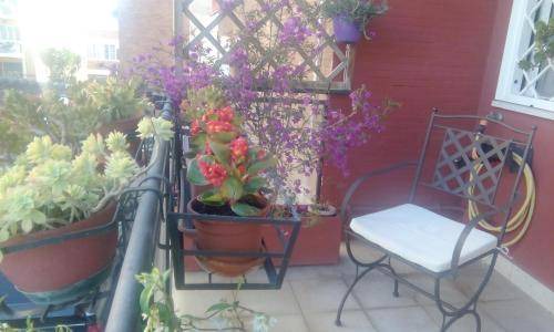 Zona XXXIII Acilia Sud Bed & Breakfast | 16 m² Bed and breakfast ∙ 2 guests