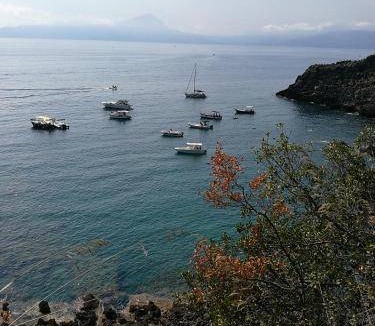 Cersuta Bed & Breakfast | 16 m² Bed and breakfast ∙ 2 guests