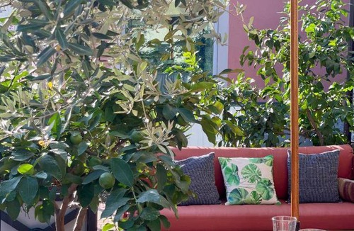 Spinetta Marengo Bed & Breakfast | 20 m² Bed and breakfast ∙ 2 guests