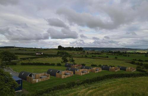 Newmilns Cabin | 20 m² Lodge ∙ 3 guests