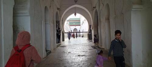 Moulay Idriss Zerhoun Bed & Breakfast | 20 m² Bed and breakfast ∙ 2 guests