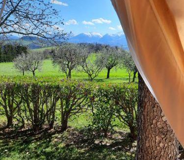 Penna San Giovanni Other | 21 m² Tent ∙ 1 bedroom ∙ 4 guests
