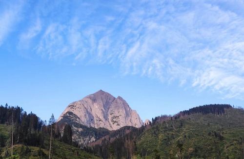 San Pietro di Cadore Resort | 25 m² Private room ∙ 1 bedroom ∙ 3 guests