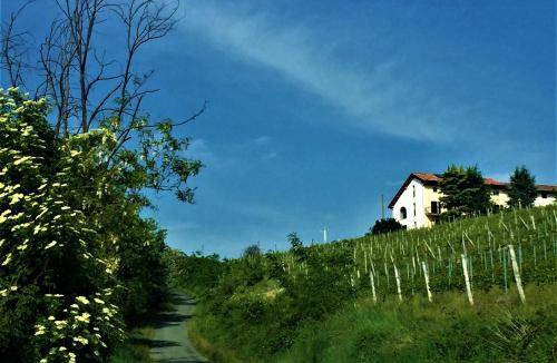 Rocchetta Palafea Bed & Breakfast | 27 m² Bed and breakfast ∙ 3 guests