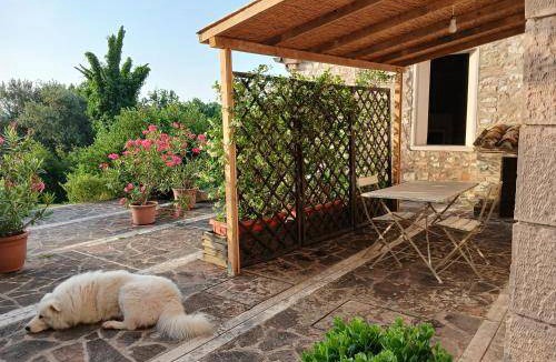 Acqualagna Apartment | 35 m² Apartment ∙ 1 bedroom ∙ 2 guests