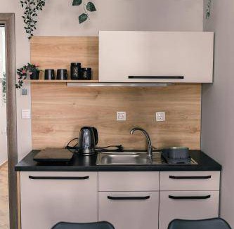 Novi Sad Apartment | 35 m² Apartment ∙ 4 guests