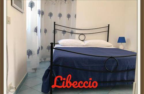 Ponza Apartment | 40 m² Apartment ∙ 5 guests