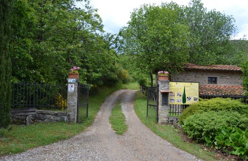 Castelfranco di Sopra Apartment | 45 m² Apartment ∙ 1 bedroom ∙ 4 guests