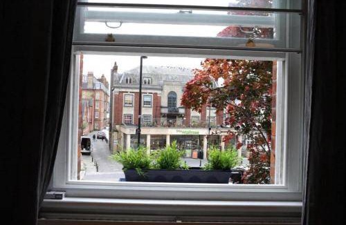 West Hampstead Apartment | 50 m² Apartment ∙ 2 bedrooms ∙ 4 guests