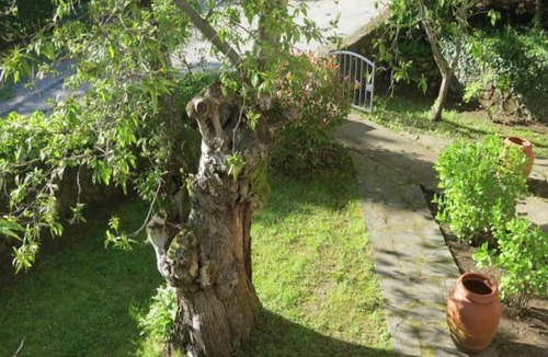 Castagno Apartment | 70 m² Aparthotel ∙ 2 bedrooms ∙ 6 guests