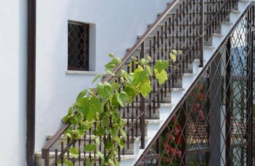 Baiano House | 70 m² Farmhouse ∙ 2 bedrooms ∙ 6 guests