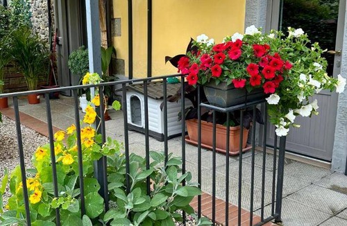 Ortignano Raggiolo House | 70 m² House ∙ 2 bedrooms ∙ 6 guests