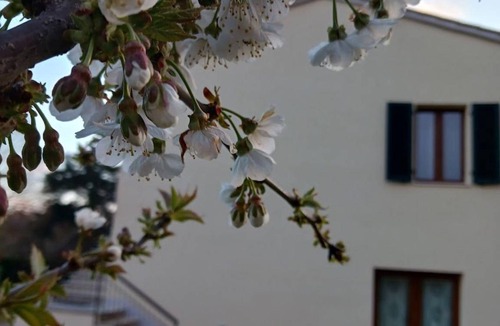 Monticiano House | 77 m² House ∙ 2 bedrooms ∙ 4 guests