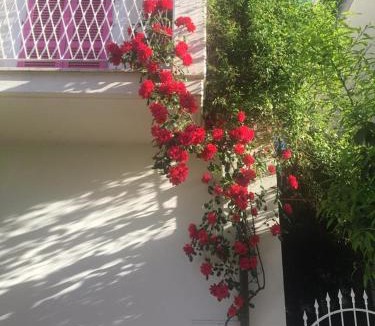 Grottammare Bed & Breakfast | A Casa di LoLu