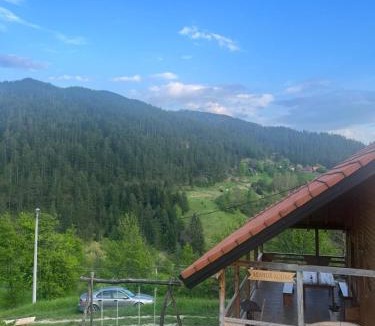Bajina Basta Apartment | Adamov Konak Apartmani